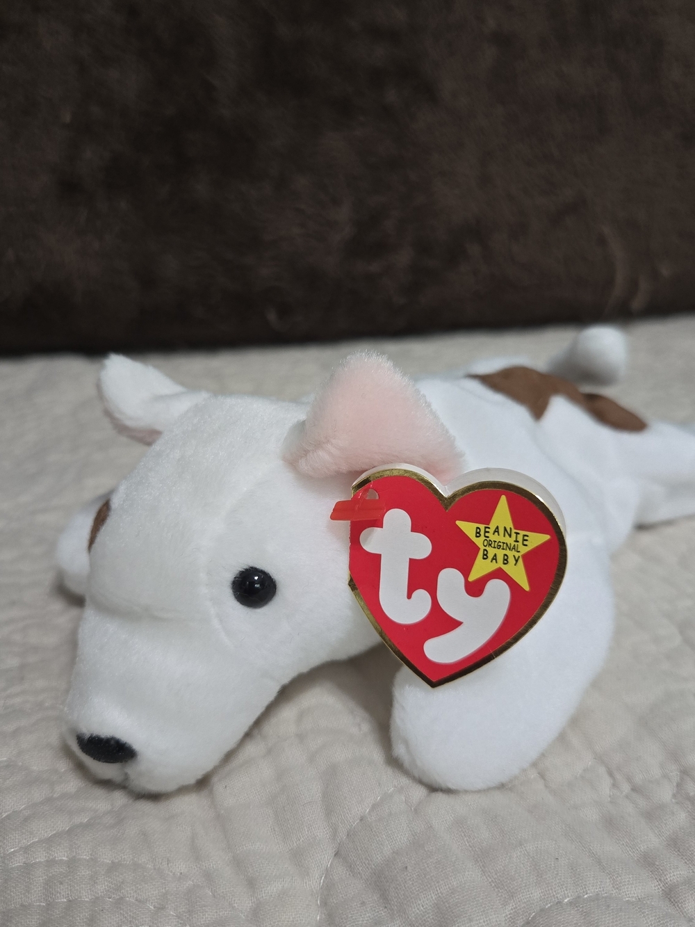 Ty Ty Beanie Babies "Butch" the Bull Terrier plush toy, released in 1998.
